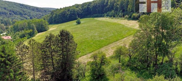 13 rooms House in Pressbaum, Austria No. 243008 16