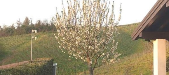 7غرفة فيلا في Stradella, Italy رقم 315019 4