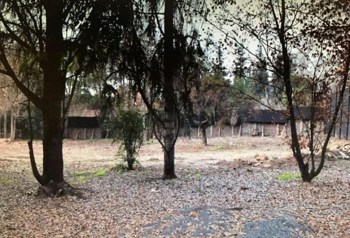 Gewerbliche Immobilie in Santiago, Chile 3135m², Nr. 127