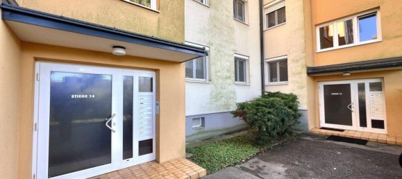 4-salle Appartement à Modling, Austria No. 238818 22