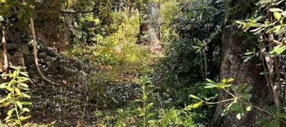 3-salle Appartement à Bordighera, Italy No. 277486 8