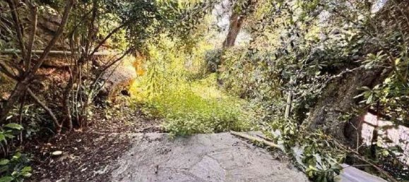 3-salle Appartement à Bordighera, Italy No. 277486 7