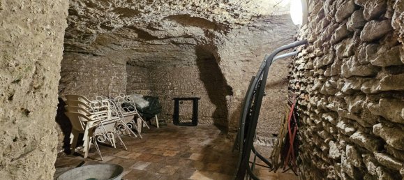 3 غرف نوم فيلا في Noizay, France رقم 221892 16