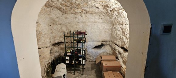 3 غرف نوم فيلا في Noizay, France رقم 221892 6