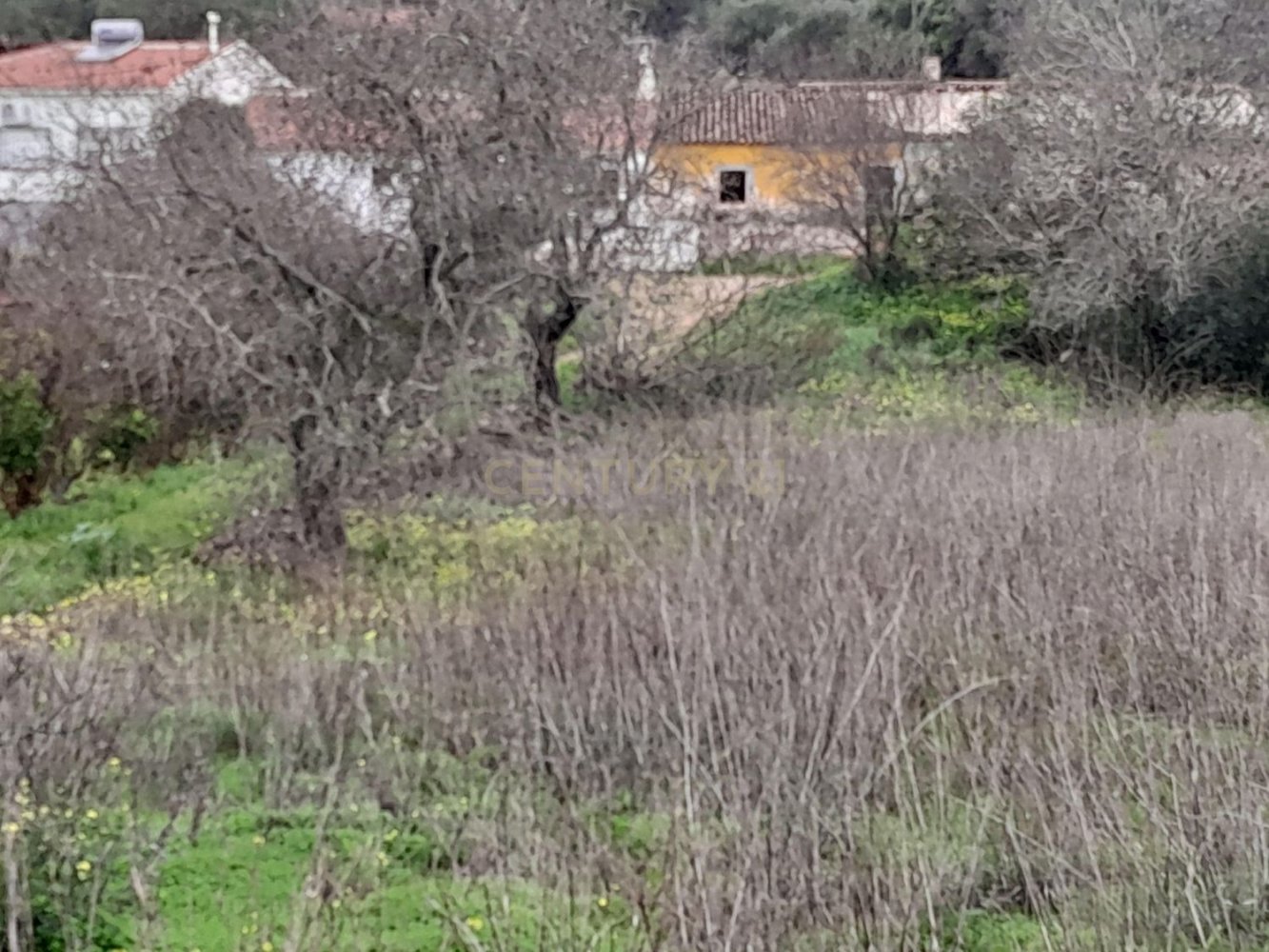 Terreno em Silves, Portugal N.º 242137