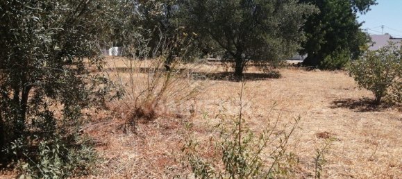 3148m² Land in Sao Bras de Alportel, Portugal No. 67257 8
