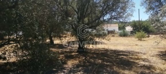 3148m² Land in Sao Bras de Alportel, Portugal No. 67257 15