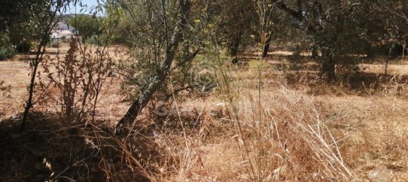 3148m² Land in Sao Bras de Alportel, Portugal No. 67257 13