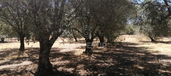 3148m² Land in Sao Bras de Alportel, Portugal No. 67257 18