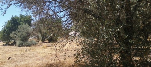 3148m² Land in Sao Bras de Alportel, Portugal No. 67257 5