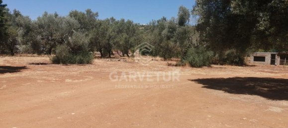 3148m² Land in Sao Bras de Alportel, Portugal No. 67257 10