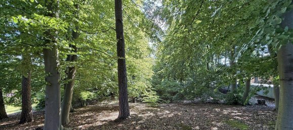 Terrain à Harburg, Germany No. 304033 3