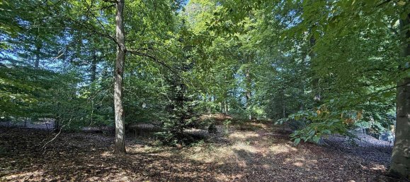 Terrain à Harburg, Germany No. 304033 2