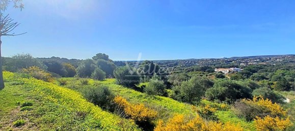 2690m² Land in Cadiz, Spain No. 29380 11