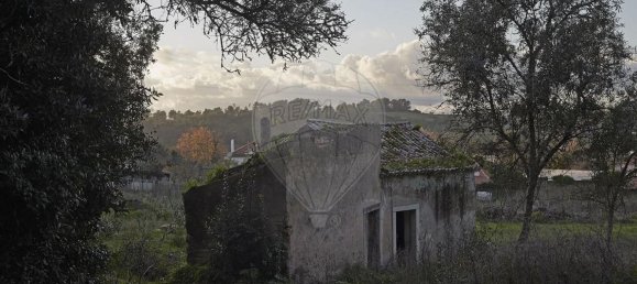 9 chambres Maison à Sintra, Portugal No. 119887 16