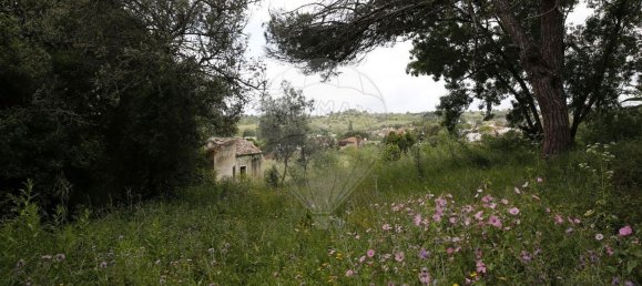 9 chambres Maison à Sintra, Portugal No. 119887 17
