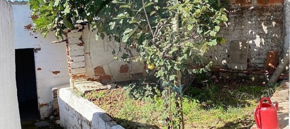 1 bedroom House in Vidigueira, Portugal No. 43988 25