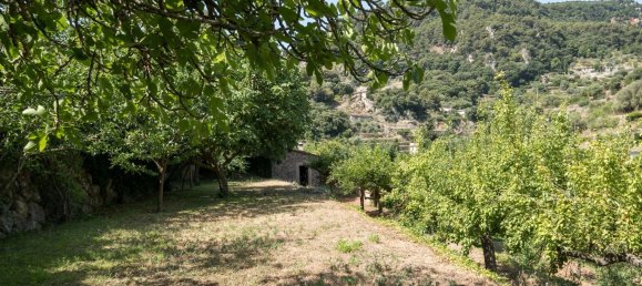  Land in Mallorca, Spain No. 148655 4