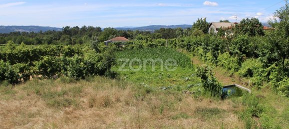 قطعة أرض في Quinchaes, Portugal 2105متر مربع رقم 32911 6