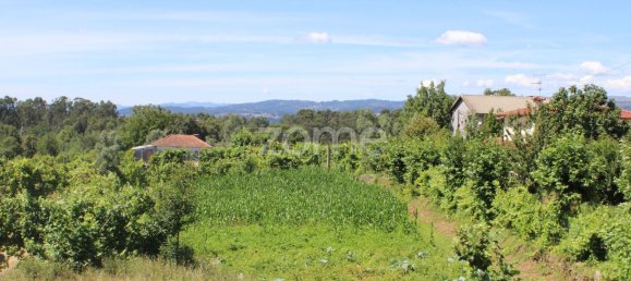 قطعة أرض في Quinchaes, Portugal 2105متر مربع رقم 32911 14