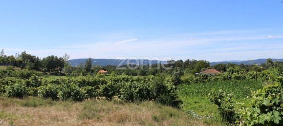 قطعة أرض في Quinchaes, Portugal 2105متر مربع رقم 32911 5