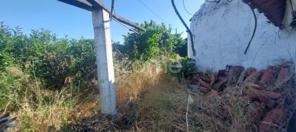 3 Schlafzimmer Haus in Minde, Portugal, Nr. 217963 11