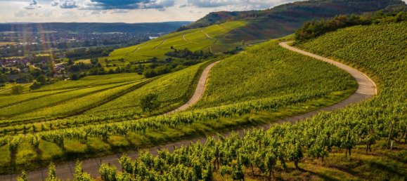 Terrain à Vienna, Austria 826m² No. 205873 3