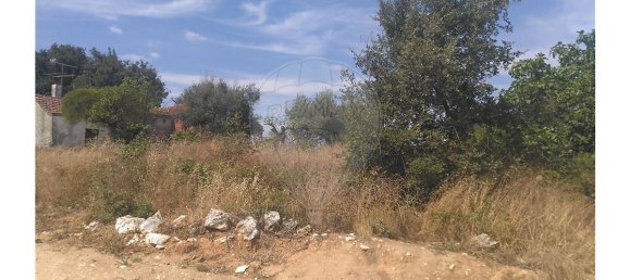 2 bedrooms House in Abiul, Portugal No. 27124 5