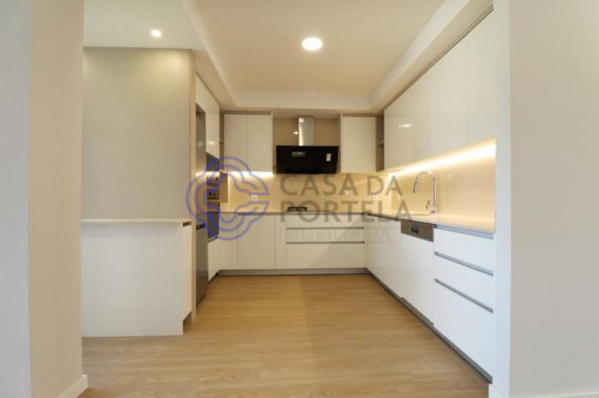 4 غرف نوم منزل في Aveiro, Portugal رقم 646