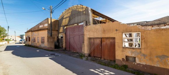 204m² Commercial property in Vieira de Leiria, Portugal No. 65797 5