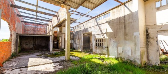 204m² Commercial property in Vieira de Leiria, Portugal No. 65797 19