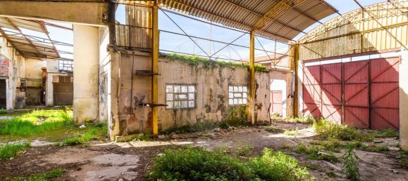 204m² Commercial property in Vieira de Leiria, Portugal No. 65797 22