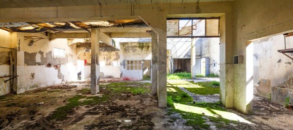 204m² Commercial property in Vieira de Leiria, Portugal No. 65797 27