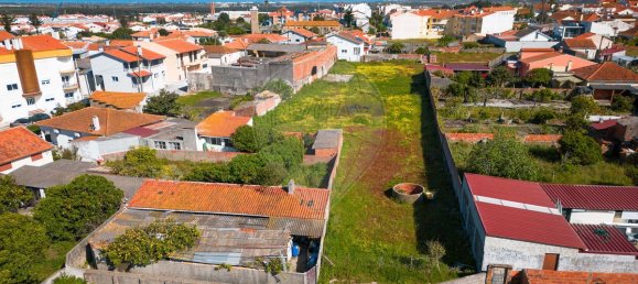 204m² Commercial property in Vieira de Leiria, Portugal No. 65797 39