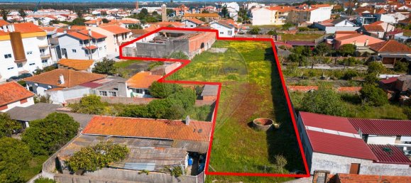 204m² Commercial property in Vieira de Leiria, Portugal No. 65797 14