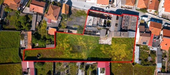 204m² Commercial property in Vieira de Leiria, Portugal No. 65797 9