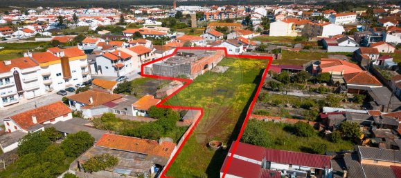 204m² Commercial property in Vieira de Leiria, Portugal No. 65797 12