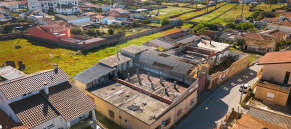 204m² Commercial property in Vieira de Leiria, Portugal No. 65797 48