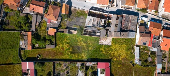 204m² Commercial property in Vieira de Leiria, Portugal No. 65797 35