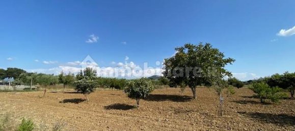 Terreno en Grosseto, Italy 10000 m² No. 297882 12