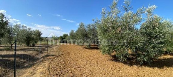 Terreno en Grosseto, Italy 10000 m² No. 297882 18