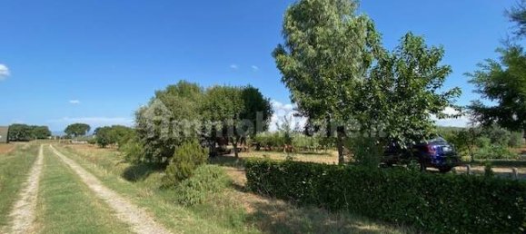 Terreno en Grosseto, Italy 10000 m² No. 297882 14