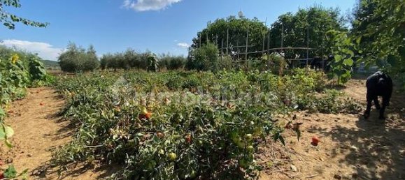 Terreno en Grosseto, Italy 10000 m² No. 297882 6