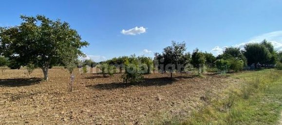 Terreno en Grosseto, Italy 10000 m² No. 297882 13