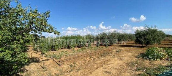 Terreno en Grosseto, Italy 10000 m² No. 297882 20