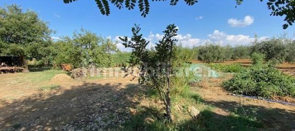 Terreno en Grosseto, Italy 10000 m² No. 297882 22