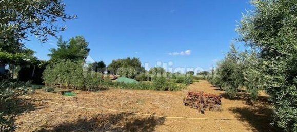 Terreno en Grosseto, Italy 10000 m² No. 297882 9