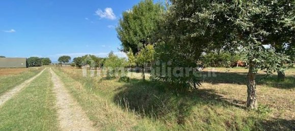 Terreno en Grosseto, Italy 10000 m² No. 297882 4