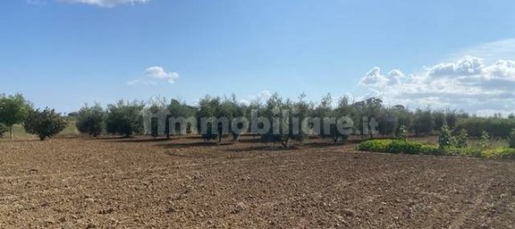 Terreno en Grosseto, Italy 10000 m² No. 297882 16