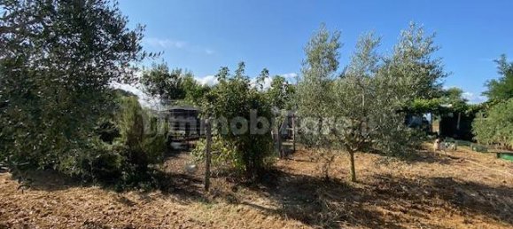 Terreno en Grosseto, Italy 10000 m² No. 297882 7